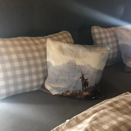 公寓 Rosi Secondo 赖斯巴赫